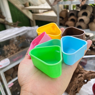 Chén nước nhỏ, máng ăn mini cho ốc rụt rè, ốc mượn hồn, cua ẩn sỉ hermitcrab