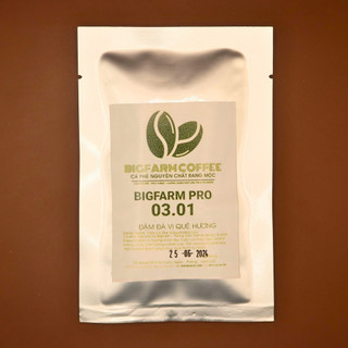 Cà phê Robusta rang mộc nguyên chất BigFarm Pro 3