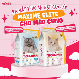 Thức ăn hạt maxime elite cho mèo nhà/ mèo con và mèo mẹ - 1kg và 5kg