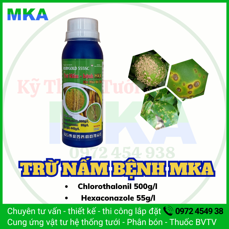 Quản lý nấm bệnh MKA 555SC hoạt chất Chlorothalonil và Hexaconazole
