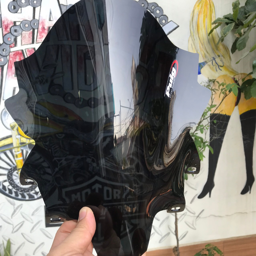 Kính chắn gió winner x v3