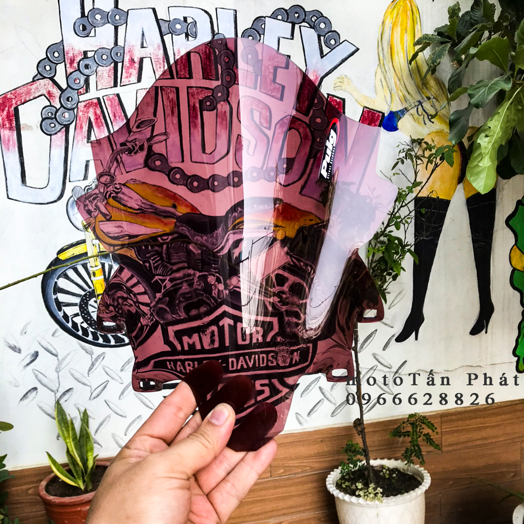 Kính chắn gió winner x v3