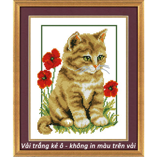Tranh thêu chữ thập không in trên vả con mèo DV001 (22 x 29 cm)