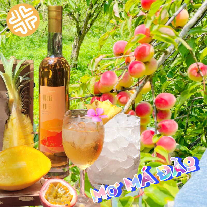 Mơ má đào CHIENG DEN Sơn La Provine (500ml) - Dòng nước trái cây lên men