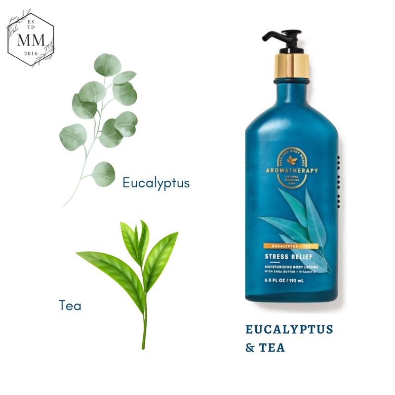 Eucalyptus Tea - Bộ sản phẩm dầu massage toàn thân Bath & Body Works