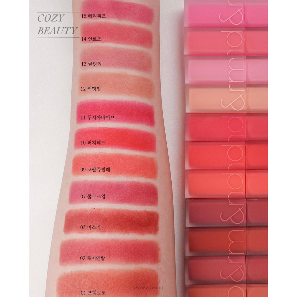 Son R Blur Fudge Tint 5g