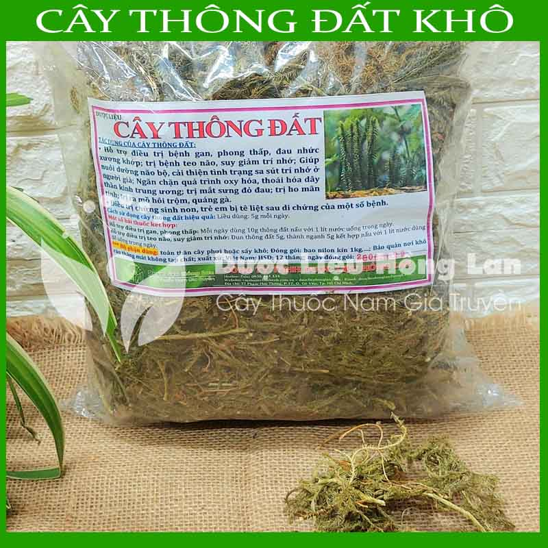 CÂY THÔNG ĐẤT khô sạch đóng gói 1kg - congtyduoclieuhonglan