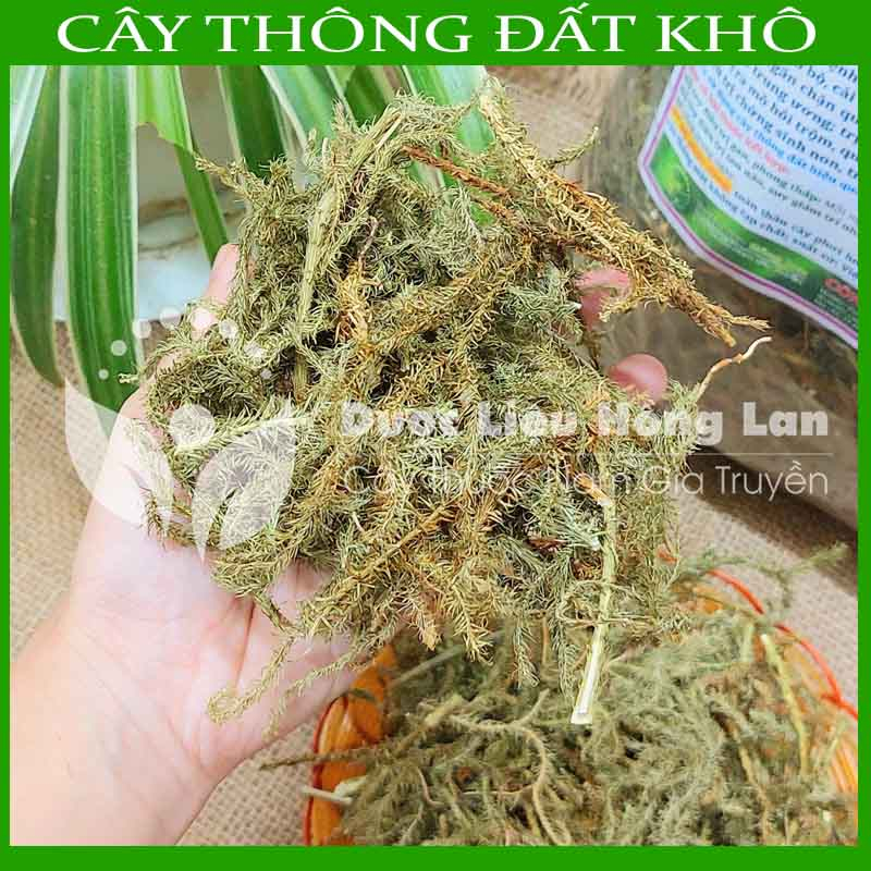 CÂY THÔNG ĐẤT khô sạch đóng gói 1kg - congtyduoclieuhonglan