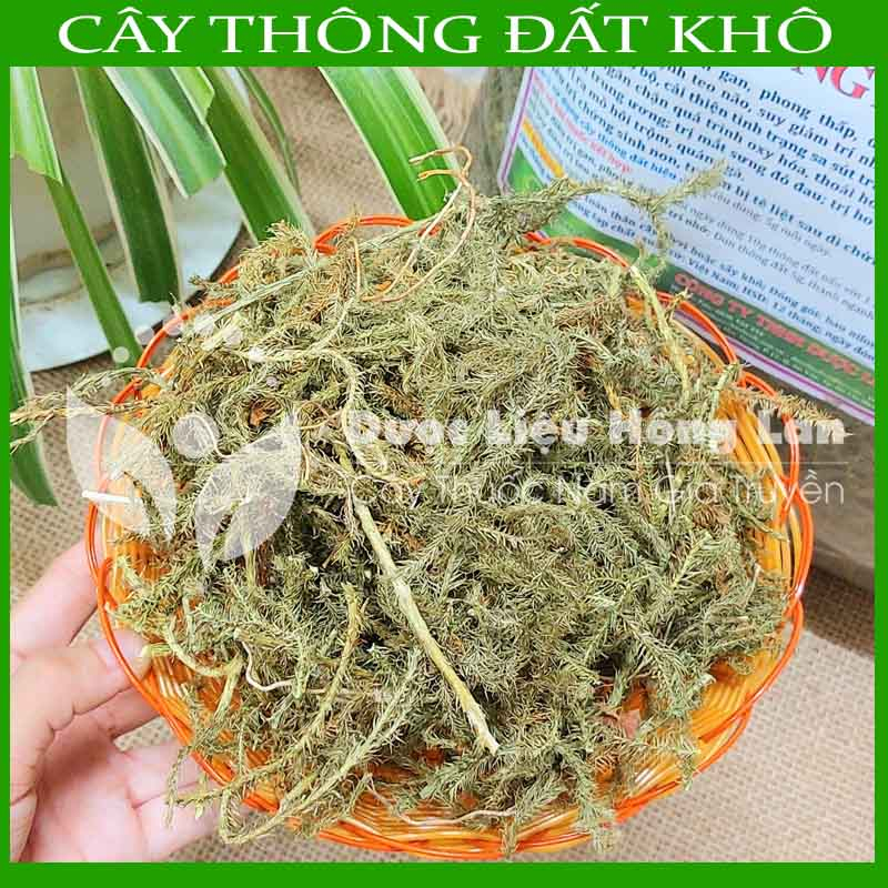 CÂY THÔNG ĐẤT khô sạch đóng gói 1kg - congtyduoclieuhonglan