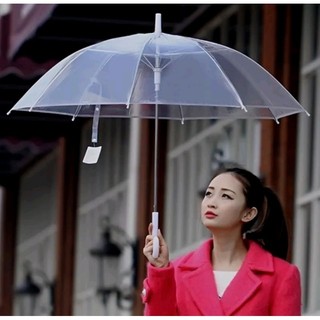 Ô trong suốt dù trong suốt Hải Phòng