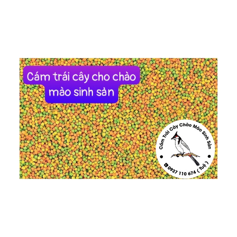 CÁM TRÁI CÂY DÀNH RIÊNG CHÀO MÀO MÀU SINH SẢN 500g NHẬP BỈ