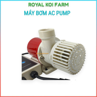 Máy Bơm AC Pump 40000l/h 370w đẩy cao 8m đầu ra 60