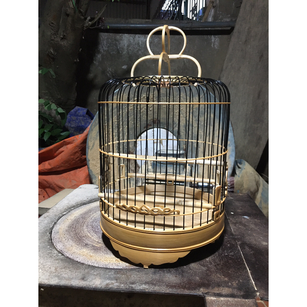 Lông khuyên nan hắc trúc loại đẹp