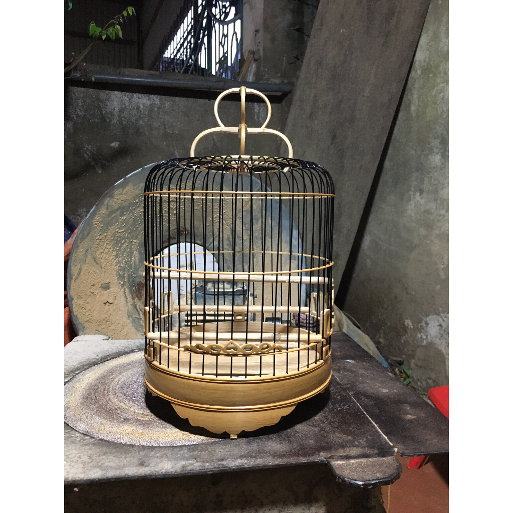Lông khuyên nan hắc trúc loại đẹp