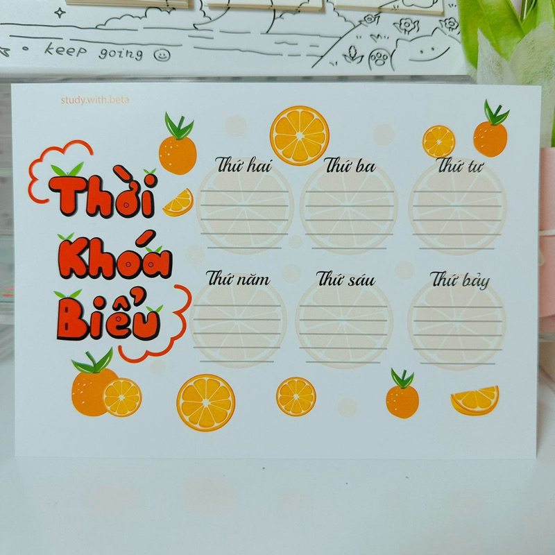 Set 3 Tấm THỜI KHOÁ BIỂU Mẫu Gấu Dâu LOTSO, Pochacco, Dưa Hấu, Cam Cute 2023