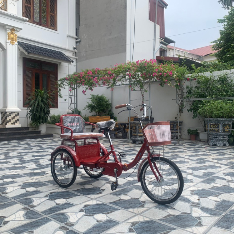 Xe ba bánh cho người già, người khuyết tật