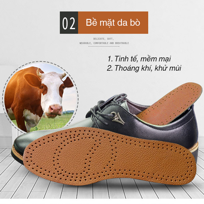 Lót Giày Da XIMO êm chân và thoáng khí khử mùi (LGD05)