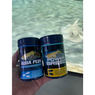CZ13- AQUA PLUS (VITAMIN CHO RỒNG, HỔ, SAM)