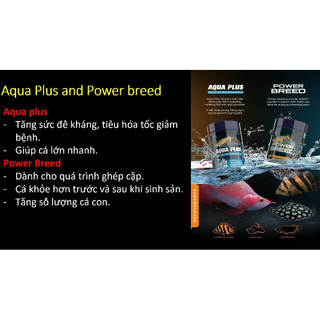 CZ13- AQUA PLUS (VITAMIN CHO RỒNG, HỔ, SAM)