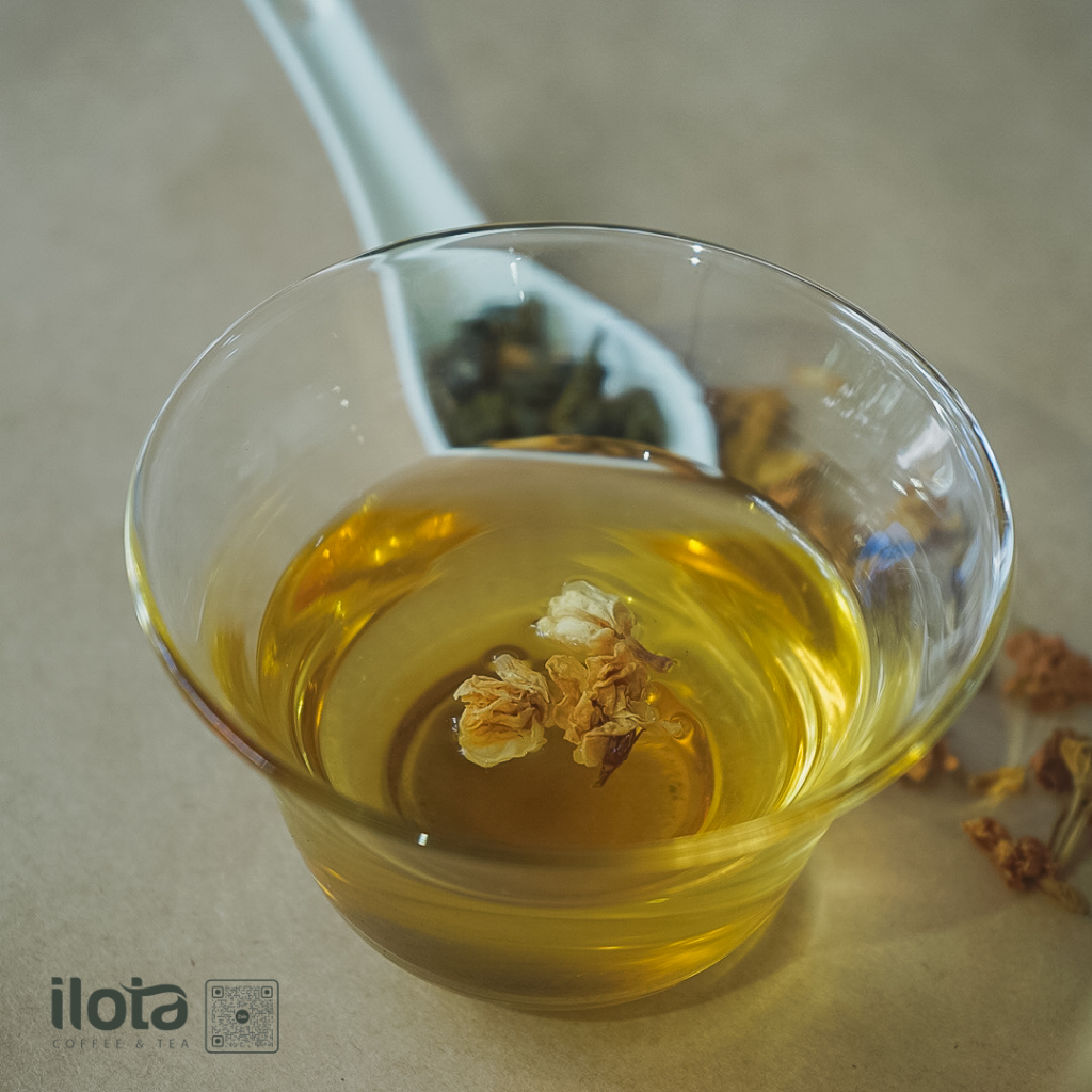 Trà oolong ô long nhài ILOTA pha trà sữa trà trái cây