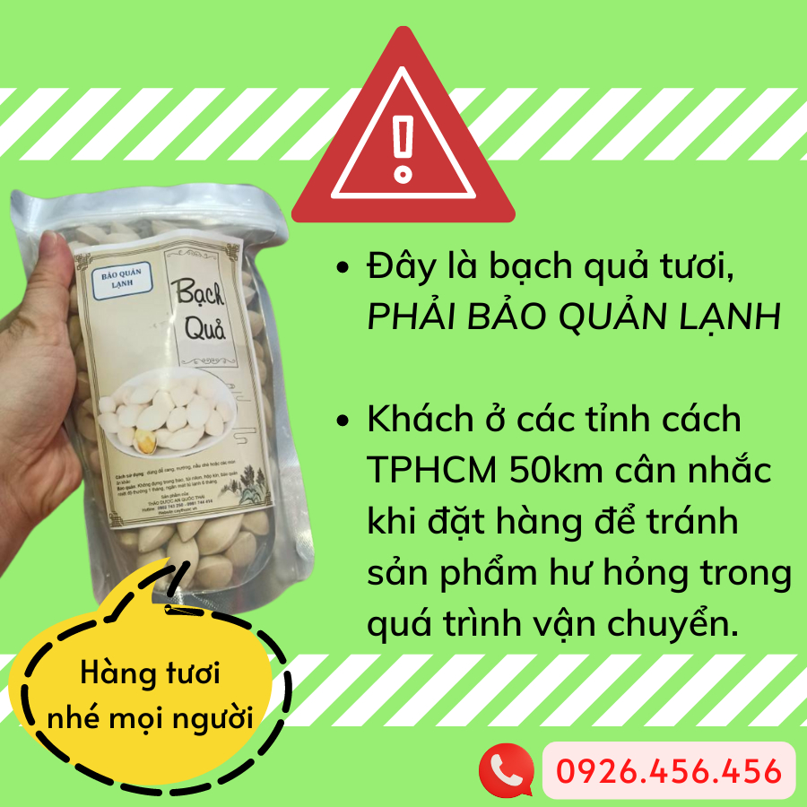 Bạch Quả Tươi Nguyên Vỏ  Hạt To, Nấu Chè - Chưng Yến Bồi Bổ, Tốt Trí Não