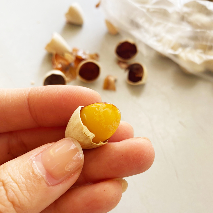 Bạch Quả Tươi Nguyên Vỏ  Hạt To, Nấu Chè - Chưng Yến Bồi Bổ, Tốt Trí Não