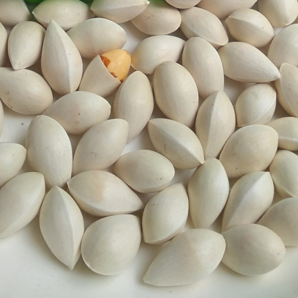 Bạch Quả Tươi Nguyên Vỏ  Hạt To, Nấu Chè - Chưng Yến Bồi Bổ, Tốt Trí Não