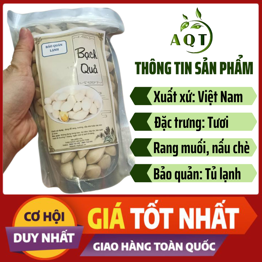 Bạch Quả Tươi Nguyên Vỏ  Hạt To, Nấu Chè - Chưng Yến Bồi Bổ, Tốt Trí Não