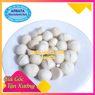 Nhân macca tươi mới tại vườn, hàng mới bao thơm ngon, chuyên nấu sữa hạt, hạt macca dinh dưỡng