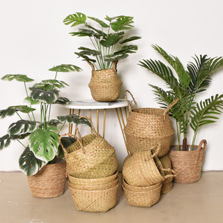Giỏ cói đặt chậu cây
