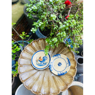 Dĩa 12cm thường có chân đinh