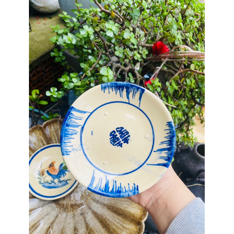 Dĩa 12cm Thường Có Chân Đinh