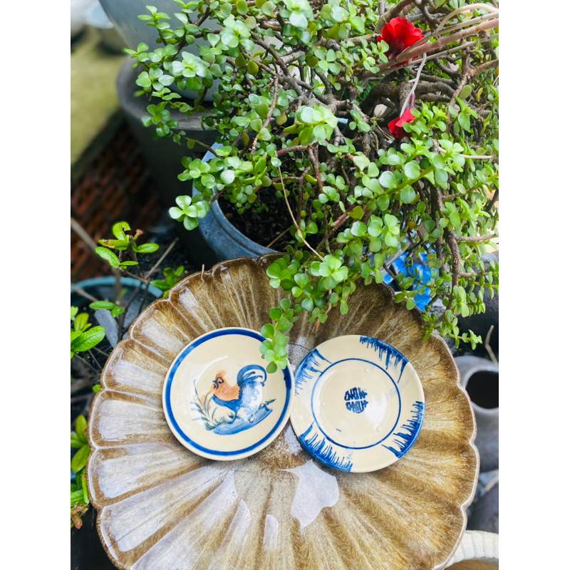 Dĩa 12cm Thường Có Chân Đinh