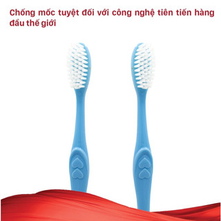 Combo 10 Bàn Chải Đánh Răng Lipzo Maxcare