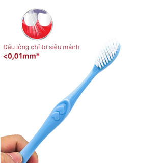 Combo 10 Bàn Chải Đánh Răng Lipzo Maxcare