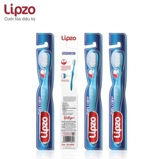Combo 10 Bàn Chải Đánh Răng Lipzo Maxcare