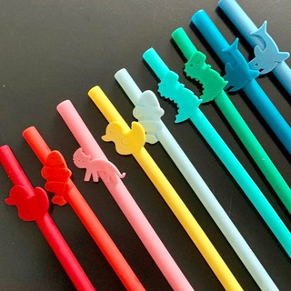 Set 5 ống hút Silicon Straw các màu (kèm chổi cọ rửa)