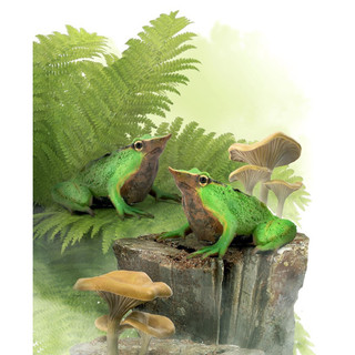 Mô hình động vật: Ếch Darwin ( Chính hãng)