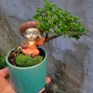 sam hương siêu mini MIX CHẬU