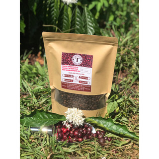 Cà phê hạt rang nguyên chất Robusta, cafe rang mộc 500g