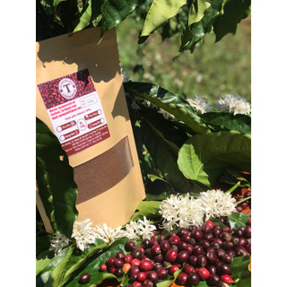 Cà phê bột xay nguyên chất, cafe bột Robusta rang mộc 1kg