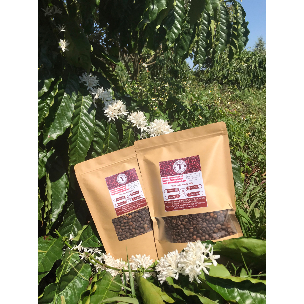 Cà phê hạt rang nguyên chất Robusta, cafe rang mộc 500g