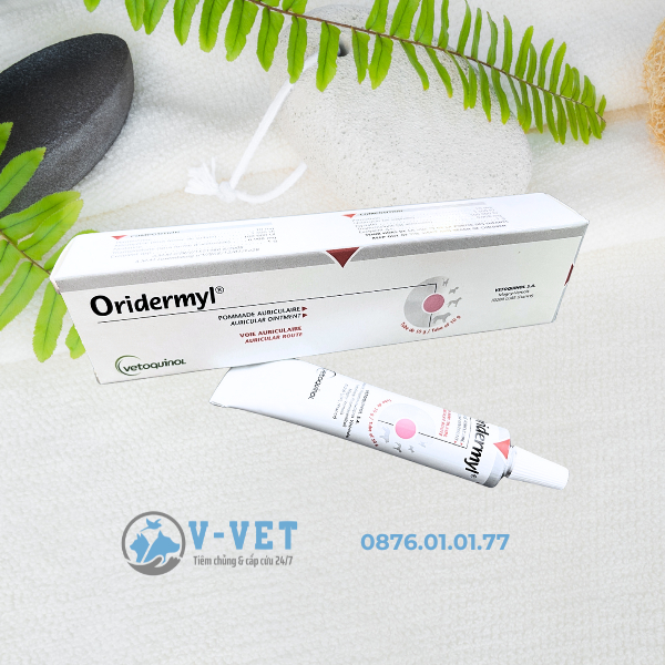 Tuýp Nhỏ Tai Mèo Hết Rận Tai Mèo ORIDERMYL - Ống Nhỏ Tai Cho Chó Mèo Hết Mủ/VIêm Tai