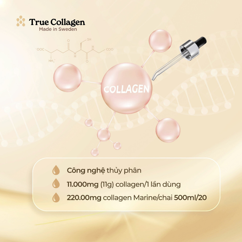 True Collagen Marine Thụy Điển hàm lượng cao 220.000mg cơ thể hấp thụ tốt - CHUSA