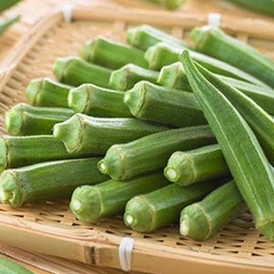 Hạt giống rau đậu bắp dễ trồng rạng đông - rado 60
