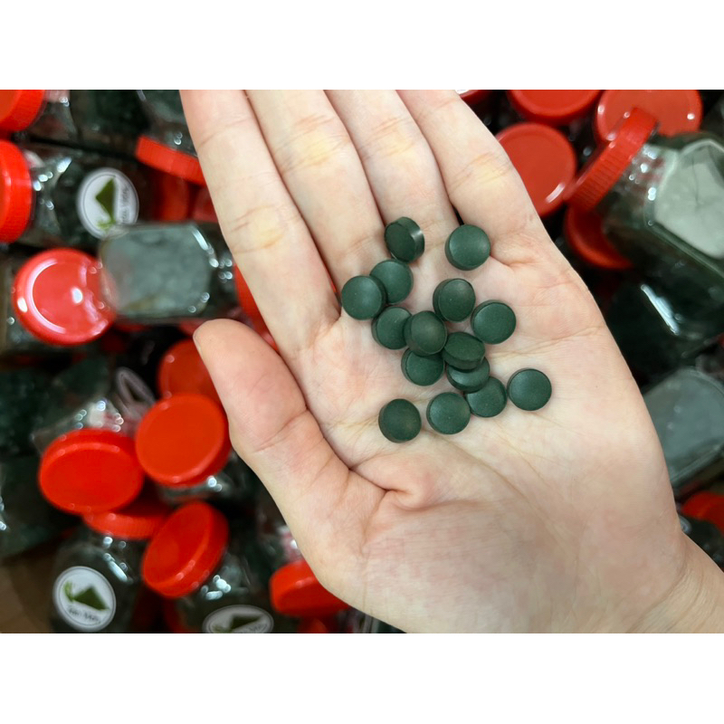 Tảo viên xoắn - Thức Ăn Nuôi Artemia Cá Tép Cảnh