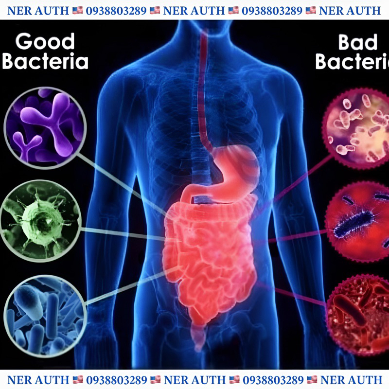 Viên uống men vi sinh cho phụ nữ Women's Daily Probiotic Trunature hộp