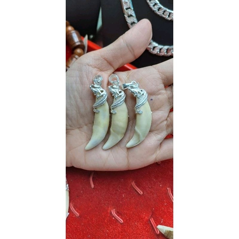 Nanh sói bạc rồng cuốn hộ mệnh trẻ em