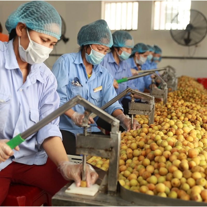 Rượu Mơ Má Đào - nước hoa quả lên men