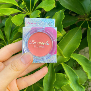 Phấn tô hoa kẽm nhung màu đẹp